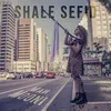About Shale Sefid Song