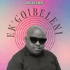 About Ek'gqibeleni Song