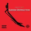 About Sudden Destruction Song