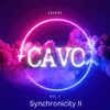 About Synchronicity II Song