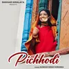 About Pichhodi Song