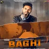 About Baghi Song