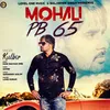 About Mohali P.B. 65 Song