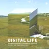 Digital Landscapes