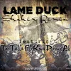 About Lame Duck Shahin Remix Song