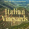 Italian Vineyards