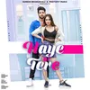 About Haye Ni Tere Song