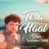 About Tera Haal Song