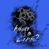 About What Is a Life Song