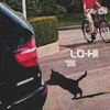 About Lo-Hi Song