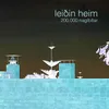 About Leiðin heim Song