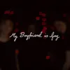 About My Boyfriend is Gay Song