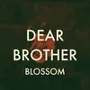 About Dear Brother Song