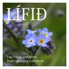 About Lífið Song