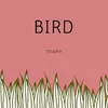 About Bird Song