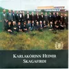 Skagafjörður