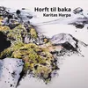 About Horft til baka Song