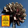 About Vakta Svæðið Song