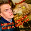 About Minna Ungur Meira Bestur Song