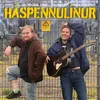 About Háspennulínur Song