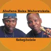 Sebephelele