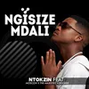 About Ngisize Mdali Song