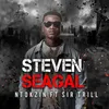 Steven Seagal Radio Edit
