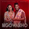 About Ngowakho Song