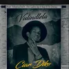 About Vulindlela Song