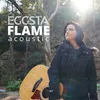 Flame Acoustic Version