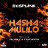 Hasha Mulilo Radio Edit