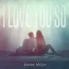 About I Love You So Song