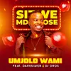 About Umjolo Wami Song