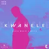 About Kwanele Song