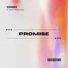 About PROMISE Song