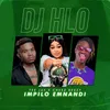 About Impilo Emnandi Song