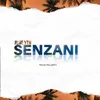 About Senzani Song