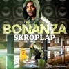 Skroplap Radio Edit