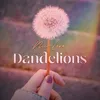 Dandelions