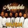 About Ngenelela Song