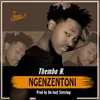 About Ngenzentoni Song