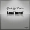 About Reveal Yourself Song