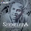 About Shebeleza Song