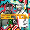 Section Radio Edit