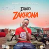 Izinto Zakhona