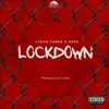 About Lockdown Song