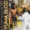 About Vuma Dlozi Song