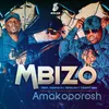 About Amakoporosh Song