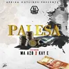 About Palesa Song