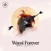 About Wami Forever Song